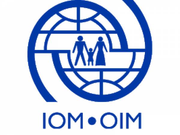 Operations Assistant (Movements) at International Organization for Migration