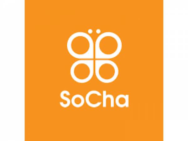 Chief of Party (COP) at SoCha