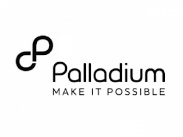 Data Systems Technical Team Lead at Palladium