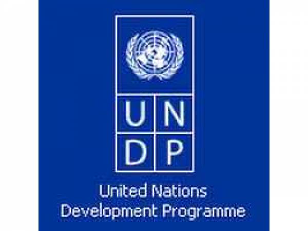 Comms Outreach & Advocacy Lead at UNDP