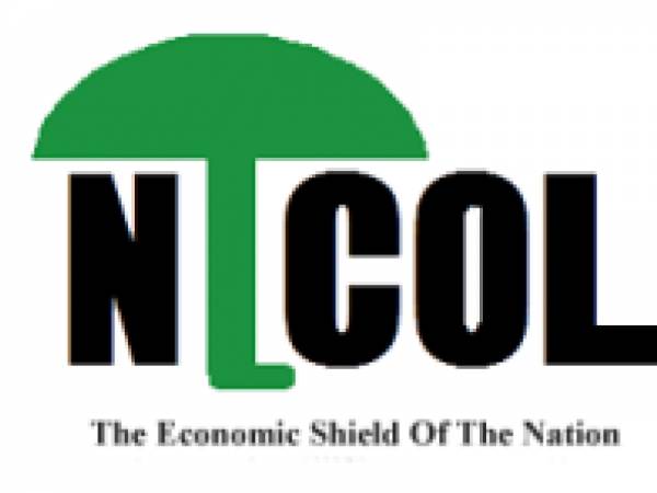 Chief Executive Officer (CEO) at NICOL