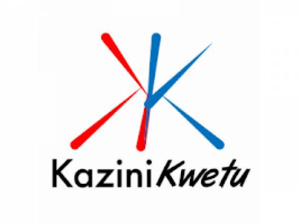Payroll Accountant at Kazini Kwetu Tanzania Limited