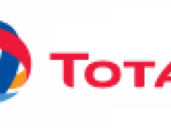 Business Process Implementer at Total