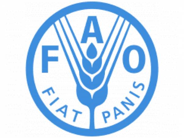 Monitoring and Evaluation Specialist at FAO