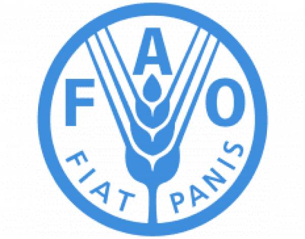 FAO (1)