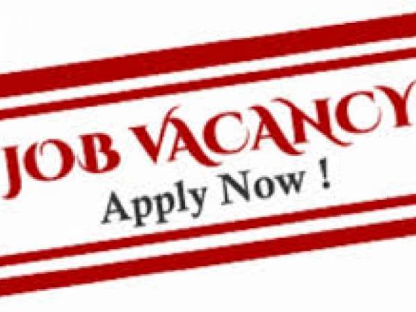 Procurement Officer (Immediately) at Caliber First Group Limited (CFGL)